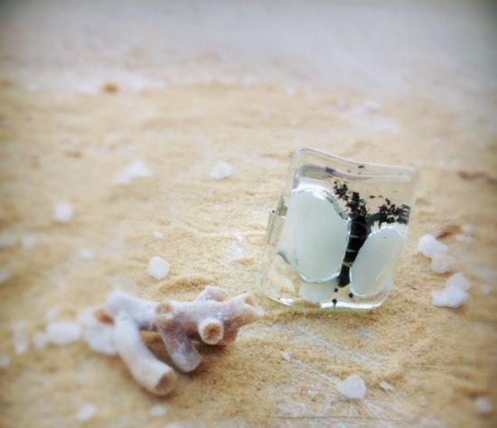 bague  carree style aile papillon  blanc et centre noir