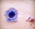 bague fleur bleue bulle